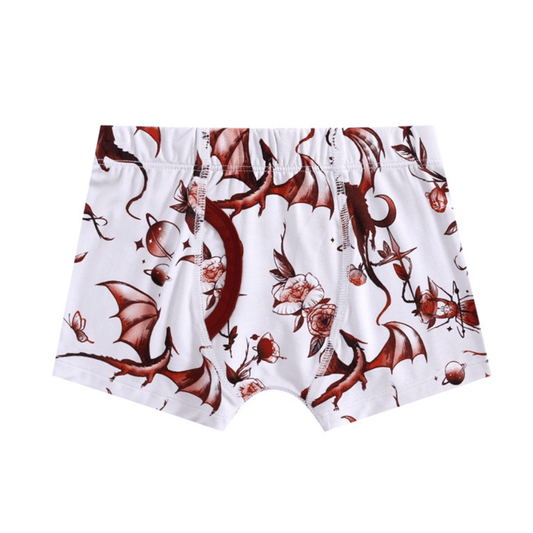 Dreaming with Dragons Boy's Boxer Brief Underwear - Jammie Session