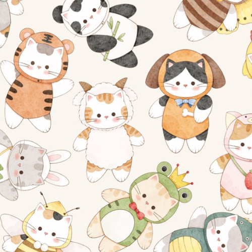 Meowster of Disguise - Jammie Session