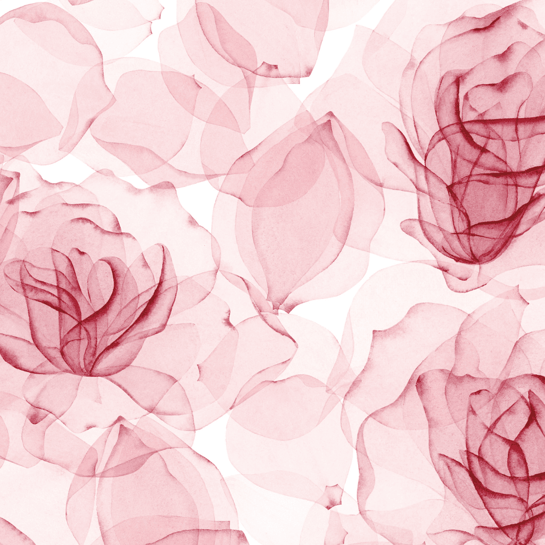 Misty Roses - Jammie Session