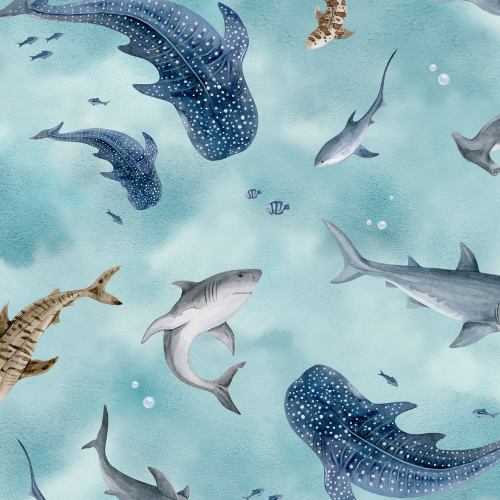 Some-Fin Special - Jammie Session