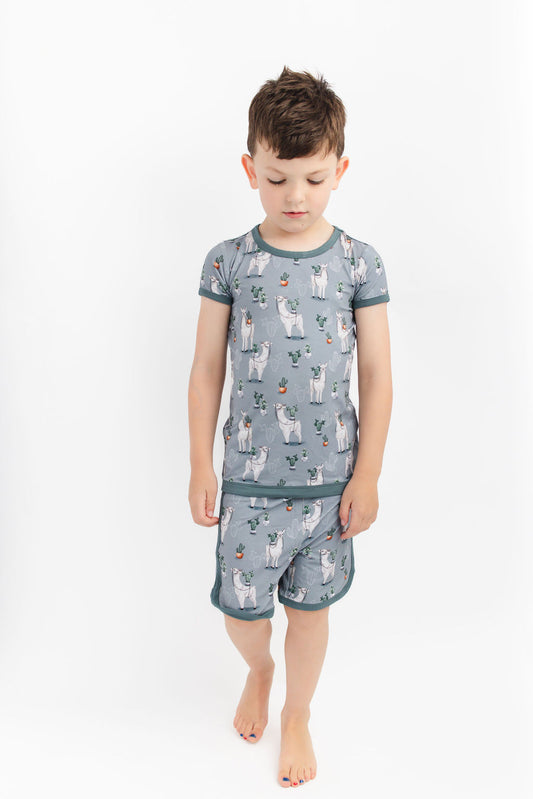 Prickly Llama Short Set BDLJ
