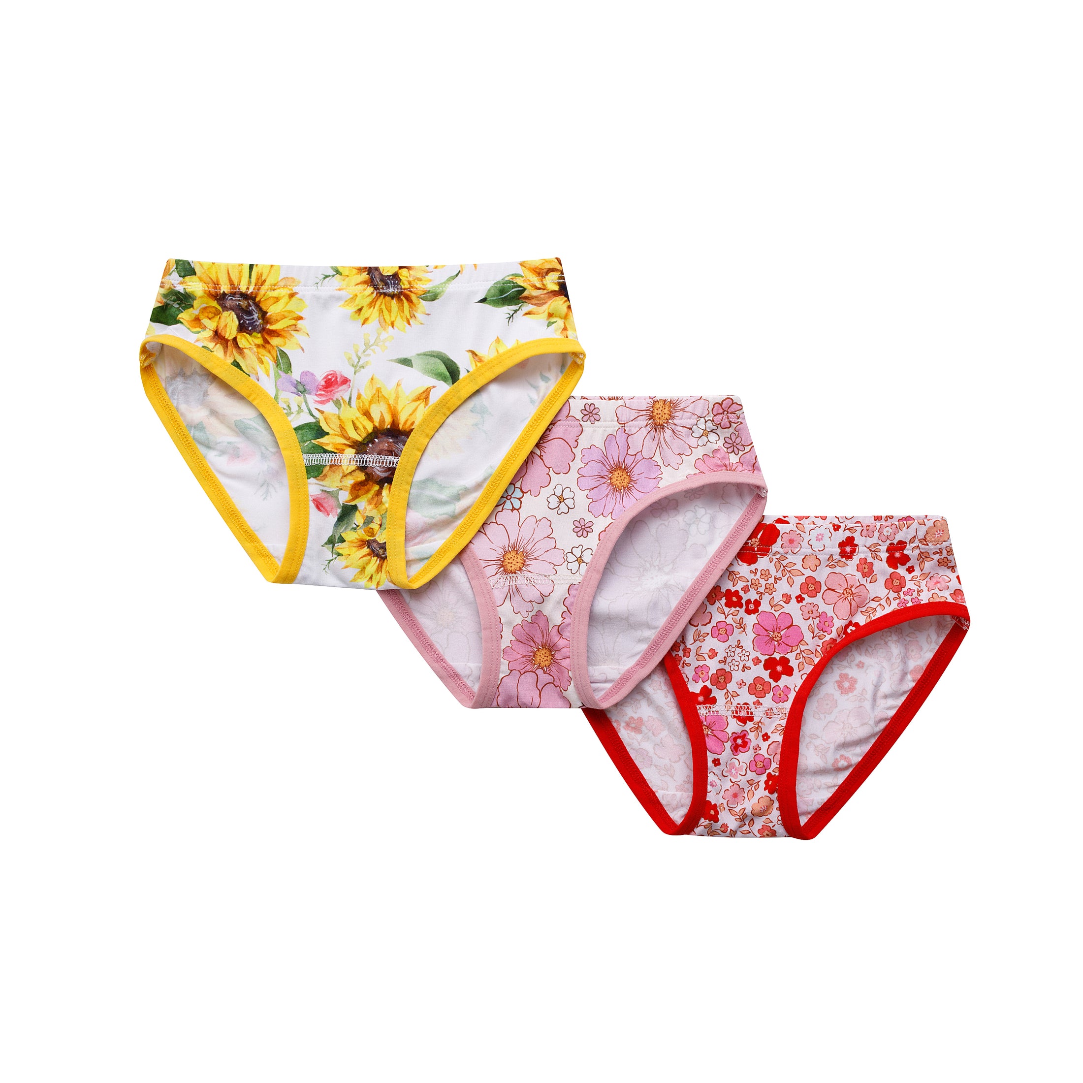 Girl's Brief Underwear 3 Pack BDLJ
