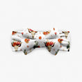 Load image into Gallery viewer, Desert Dreams Bow - Jammie Session
