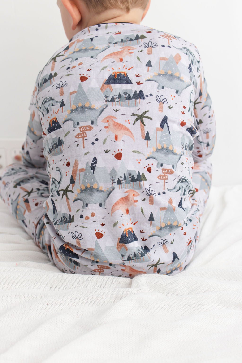 Dinosnores (Dinosaur) Long Sleeve PJ's BDLJ - Jammie Session