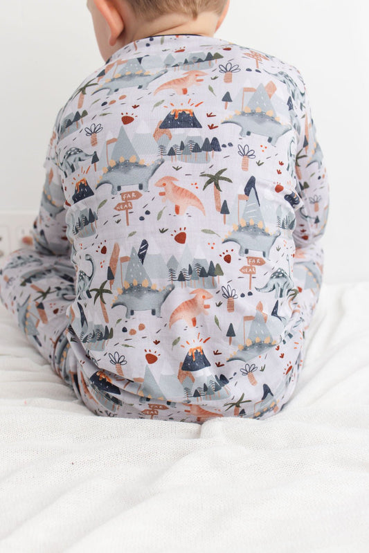 Dinosnores (Dinosaur) Long Sleeve PJ's BDLJ - Jammie Session
