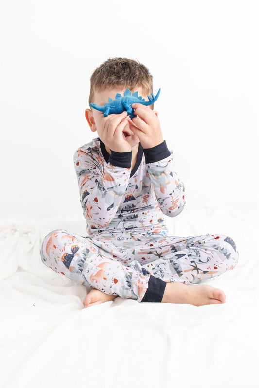Dinosnores (Dinosaur) Long Sleeve PJ's BDLJ - Jammie Session