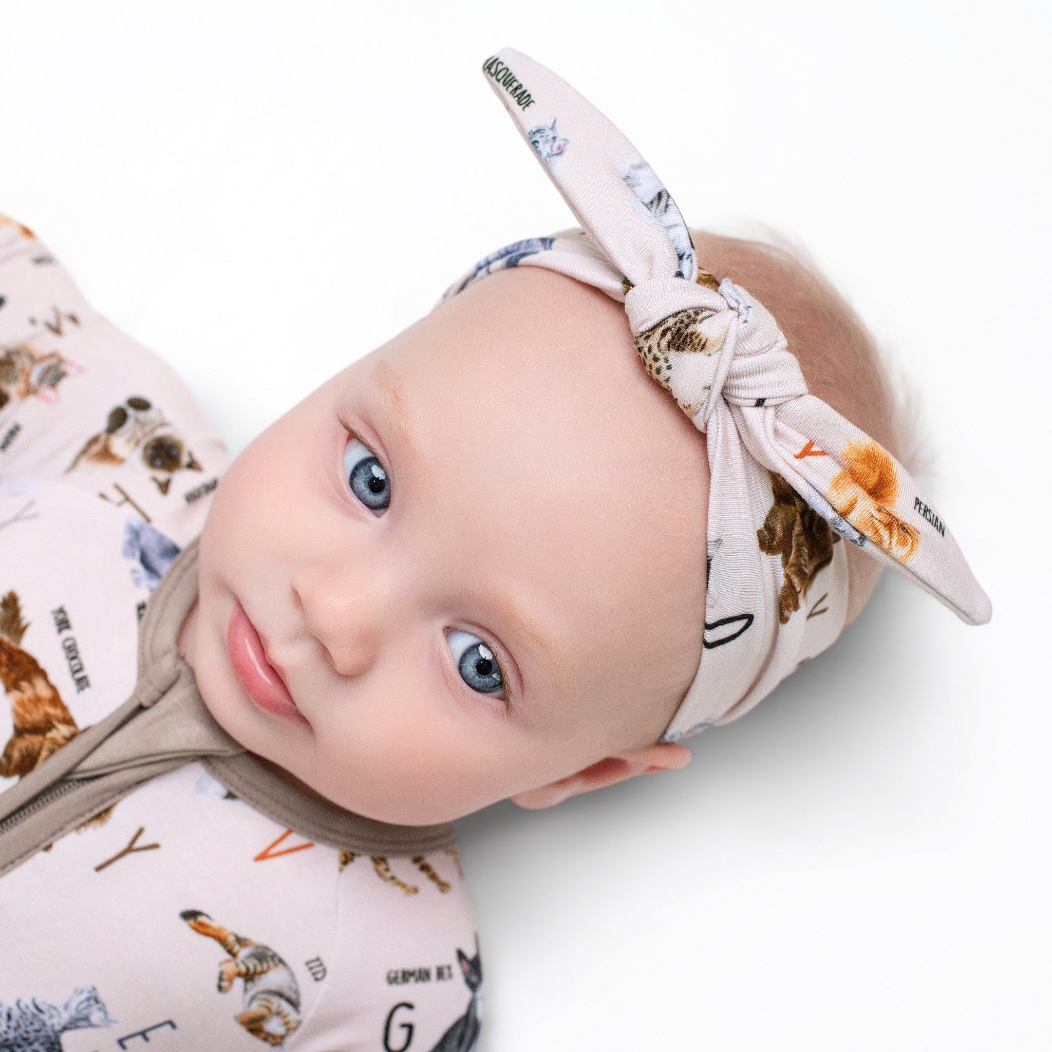 Kitties from A to Z's Bow - Jammie Session