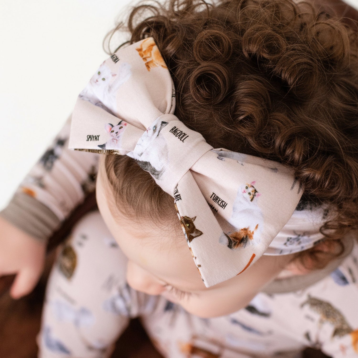 Kitties from A to Z's Bow - Jammie Session