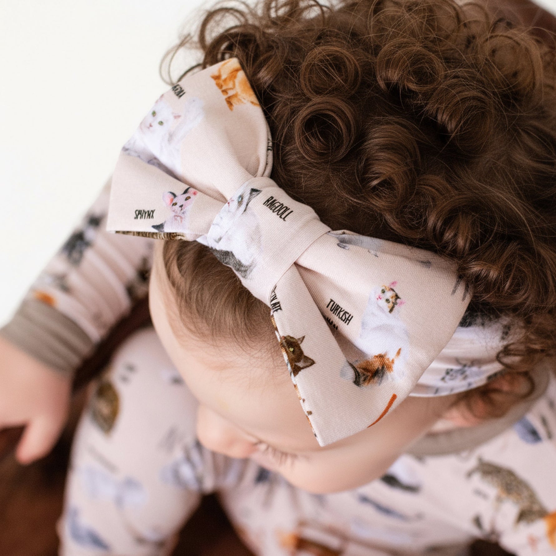 Kitties from A to Z's Bow - Jammie Session