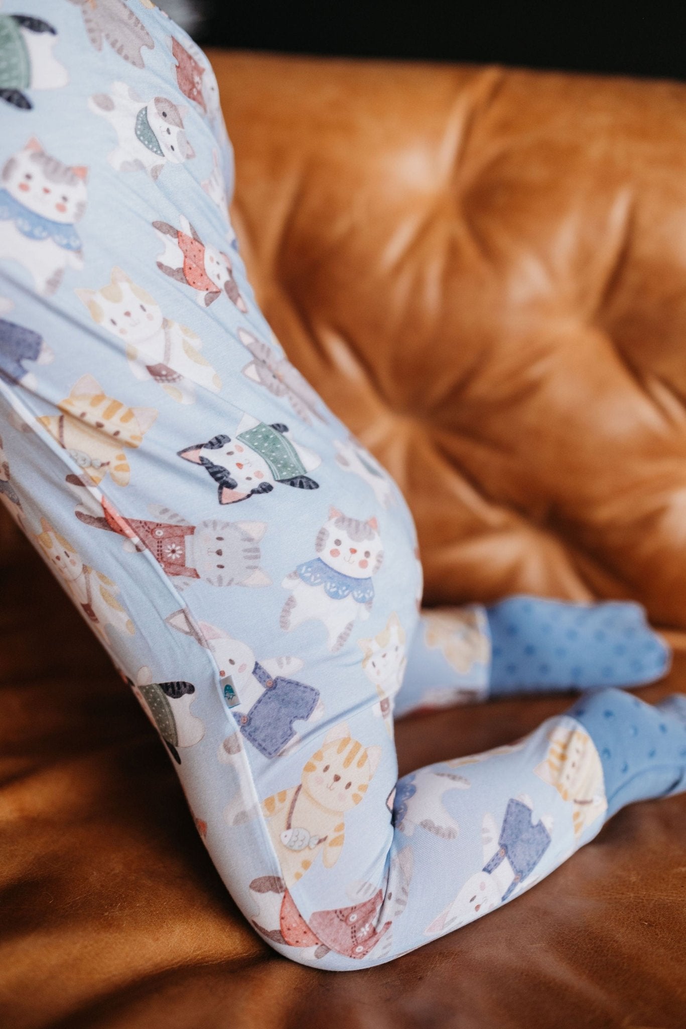 Whiskers (Blue) Romper BDLJ - Jammie Session
