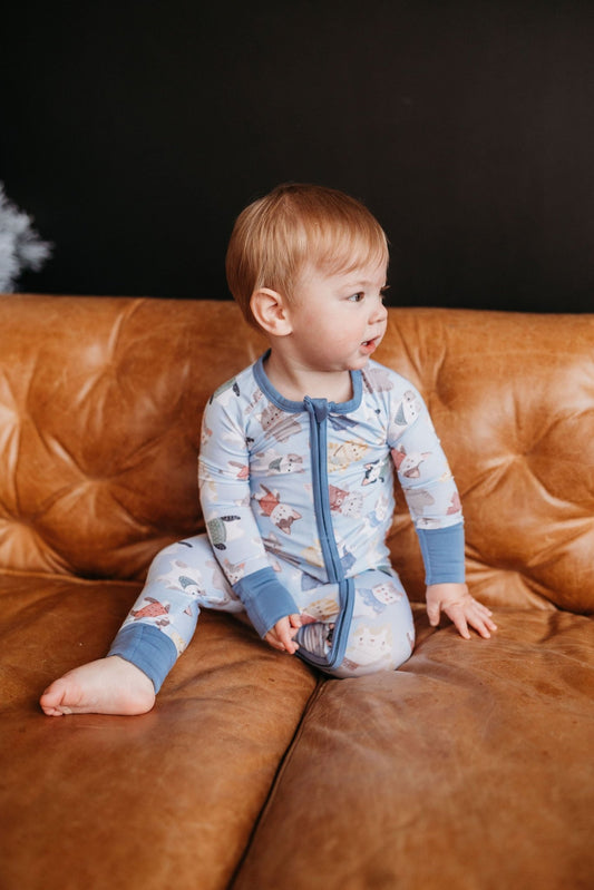 Whiskers (Blue) Romper BDLJ - Jammie Session