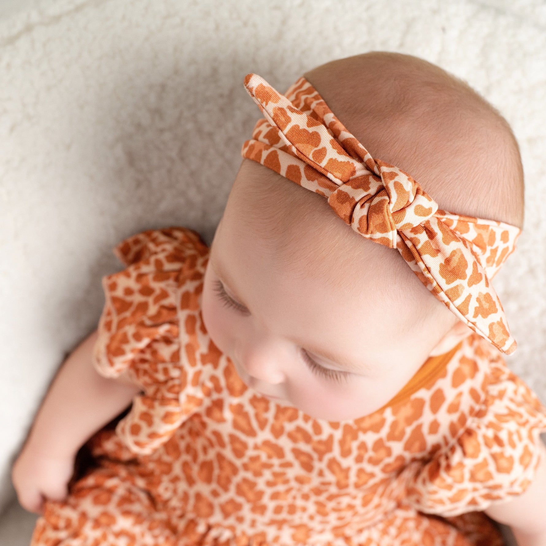 Wild One Bow - Jammie Session