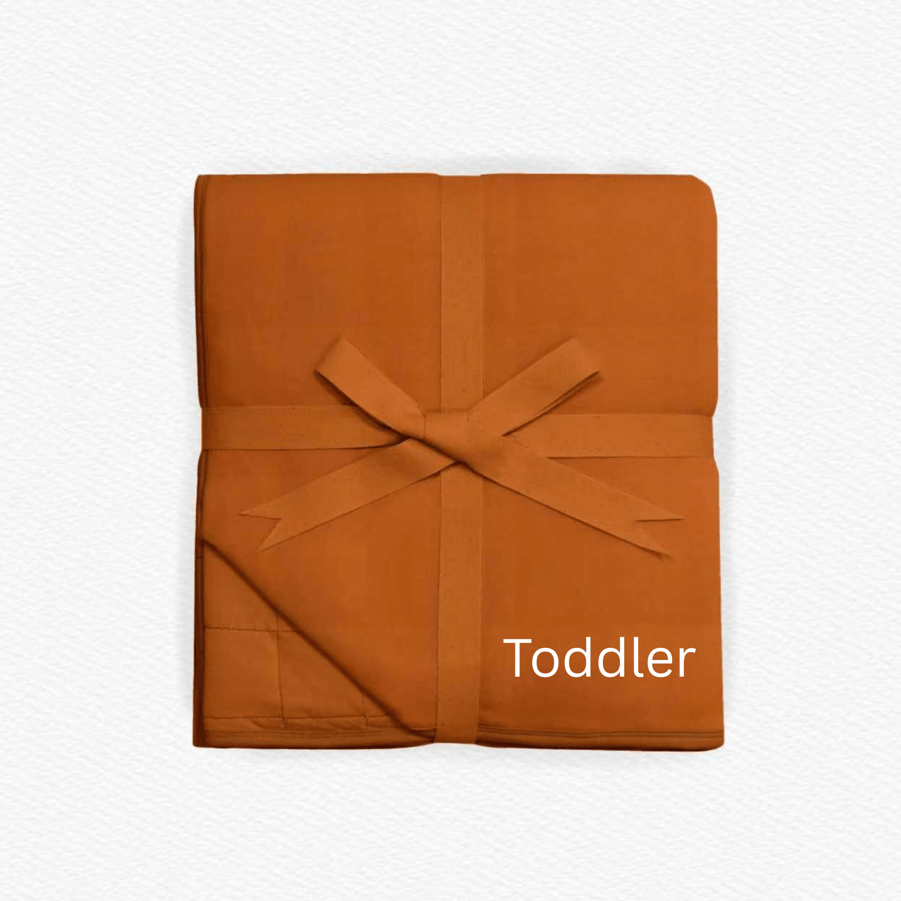 Wild One Solid Toddler Quilted Blanket - Jammie Session